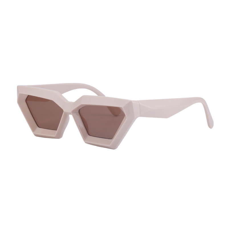 Small Frame Sunglasses Irregular Cat Eye Sunglasses - Image 6