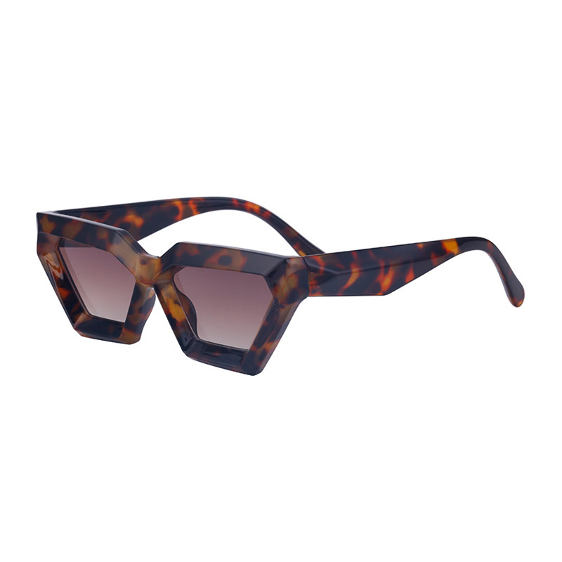 Small Frame Sunglasses Irregular Cat Eye Sunglasses - Image 8