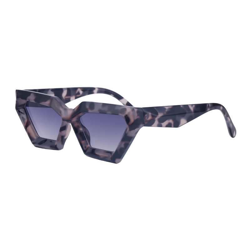 Small Frame Sunglasses Irregular Cat Eye Sunglasses - Image 9